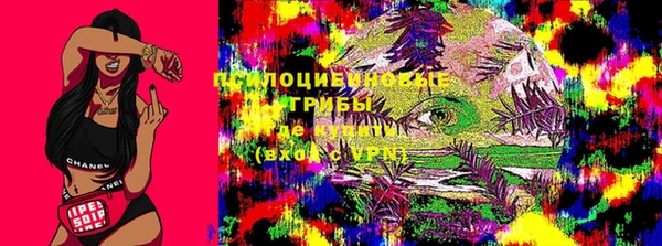 прущие крисы Алзамай
