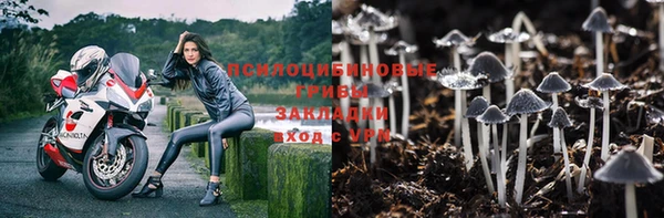 PSILOCYBIN Семикаракорск