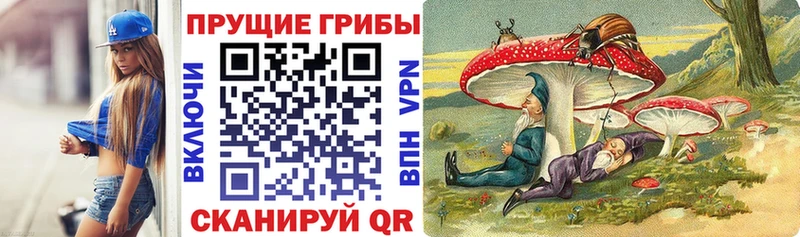 Галлюциногенные грибы Psilocybine cubensis МЕГА как войти Беслан