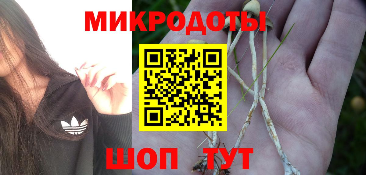 Беслан  Псилоцибиновые грибы GOLDEN TEACHER  Вход с VPN 